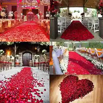  Un set de aproximativ 100 de bucăți Mulțime 4.5*4.5 cm Mătase Petale de Trandafir Decor Pentru Nunta Romantic Rose Culori 5 Flori Artificiale W F0R6