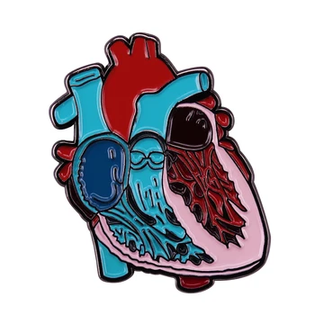  Disecat Anatomice Inima Art Email Pin Anatomie Model De Brosa Știința Medicală Cadou